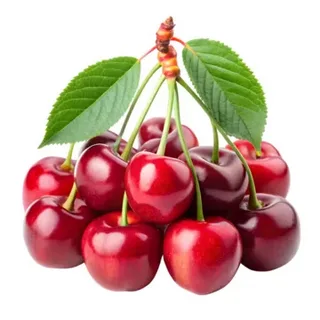 تصویر 1 از فروش کنسانتره آلبالو + قیمت خرید به صرفه